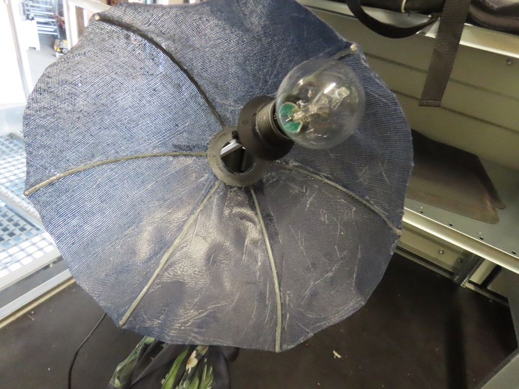 Dame mit Schirm inkl. Lampe