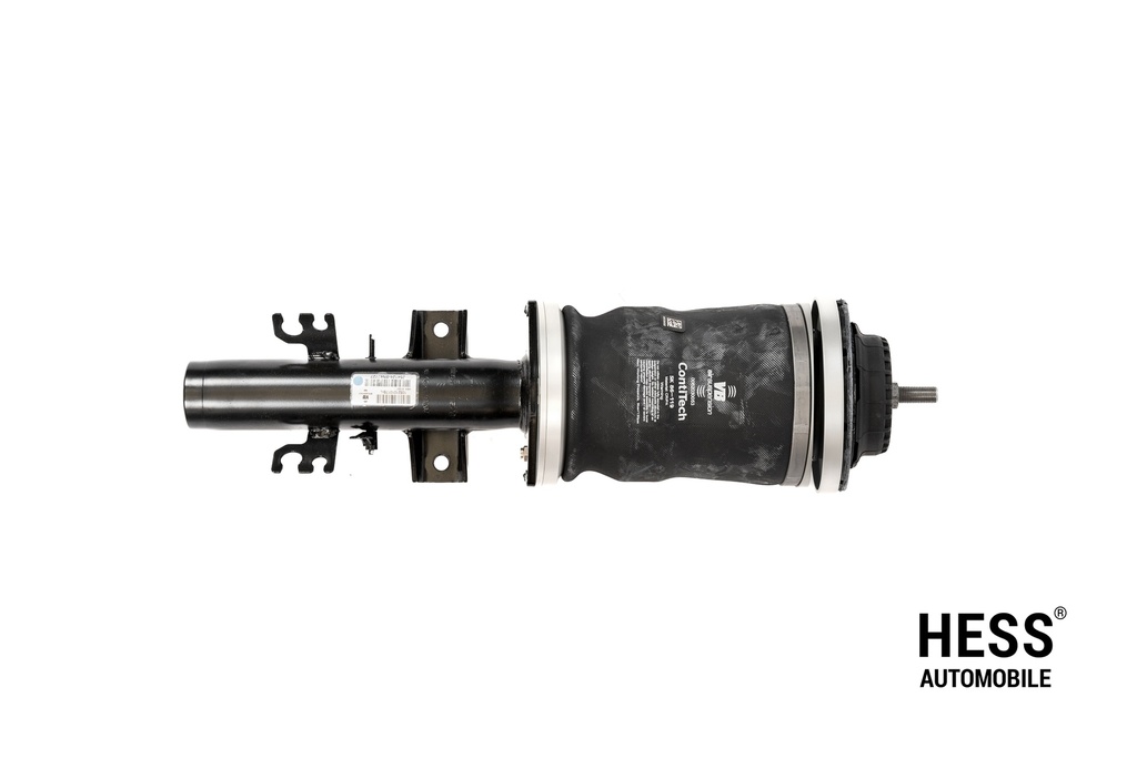 4C T30 Federbein links T5/T6/T6.1