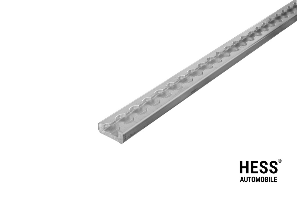 Airline Zurrschiene silber schmal